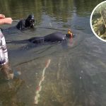 No fundo do rio foi descoberto o maior depósito de lingotes com mais de 2000 anos.