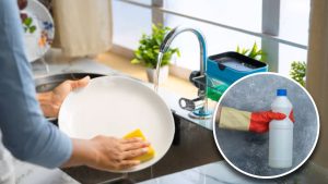 É saudável lavar a louça com lixívia? O que diz a ciência