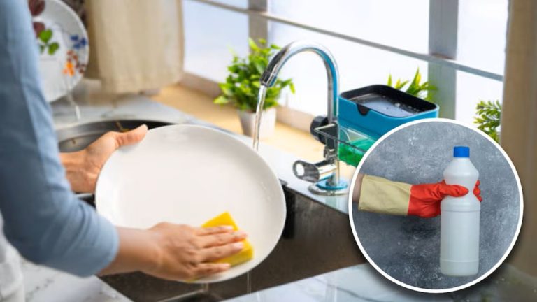 É saudável lavar a louça com lixívia? O que diz a ciência
