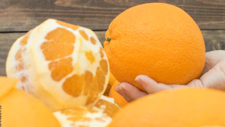 Não é para limpar: por que é recomendável misturar cascas de laranja com detergente