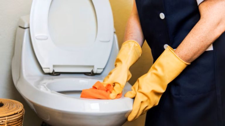 O truque com 2 ingredientes para remover o calcário do vaso sanitário