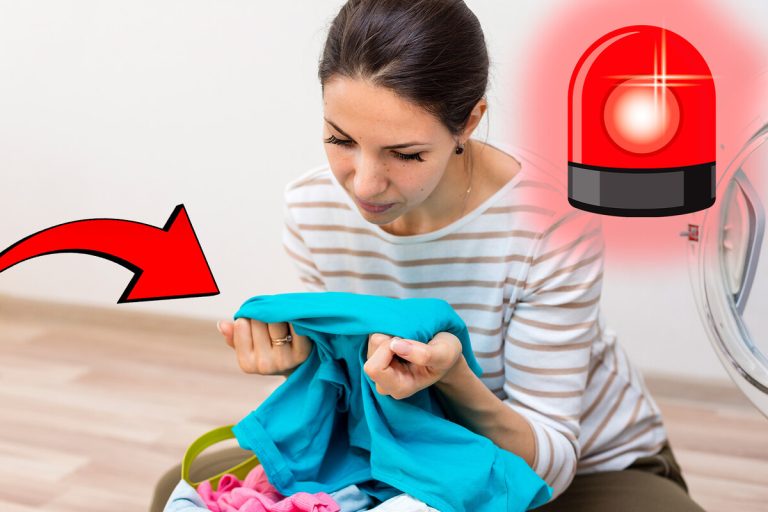 Está a lavar a roupa incorretamente: veja como remover o cheiro de mofo