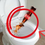 Por que as pessoas deitam Coca-Cola na sanita? Este truque, que ninguém consegue explicar, é transmitido de geração em geração