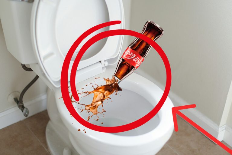 Por que as pessoas deitam Coca-Cola na sanita? Este truque, que ninguém consegue explicar, é transmitido de geração em geração