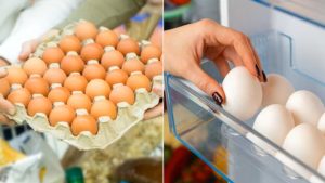 Por que os ovos ficam nas prateleiras dos supermercados e em casa são guardados no frigorífico?