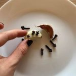 Não use velas nem armadilhas. Espete cravo-da-índia no alho. Eles fugirão em pânico