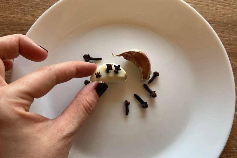 Não use velas nem armadilhas. Espete cravo-da-índia no alho. Eles fugirão em pânico