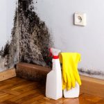 Não é mágica: 4 maneiras simples e eficazes de reduzir a humidade em casa, segundo os especialistas
