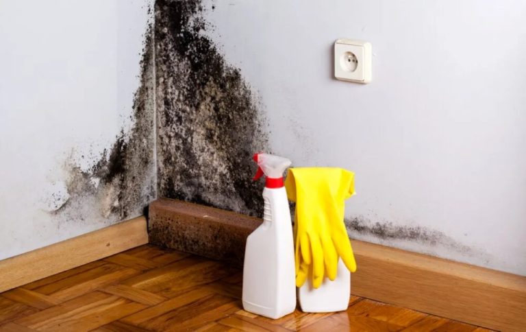 Não é mágica: 4 maneiras simples e eficazes de reduzir a humidade em casa, segundo os especialistas