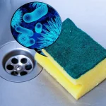 Basta um simples gesto para manter as esponjas limpas por mais tempo e garantir a higiene na cozinha