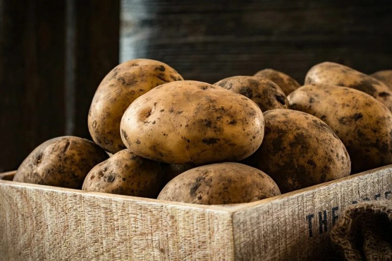 Como semear batatas em agosto para uma última colheita saborosa no outono