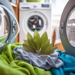 «Coloquei na máquina de lavar»: a folha de louro deixa a roupa fresca por mais tempo